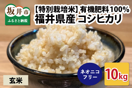 【先行予約】【令和6年産・新米】【特別栽培米】福井県産 コシヒカリ 10kg ～化学肥料にたよらない有機肥料100%～ ネオニコフリー（玄米）【2024年10月上旬以降順次発送予定】 [A-13405_02]