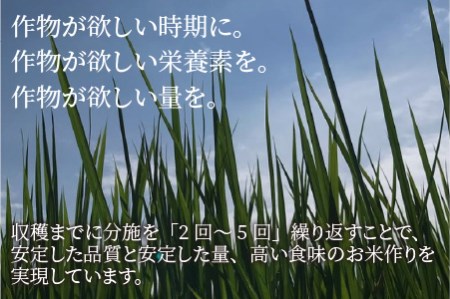 【先行予約】【令和8年産・新米】【特別栽培米】福井県産 コシヒカリ 10kg ～化学肥料にたよらない有機肥料100%～ ネオニコフリー（玄米）【2026年10月以降順次発送予定】 [C-13401_02]