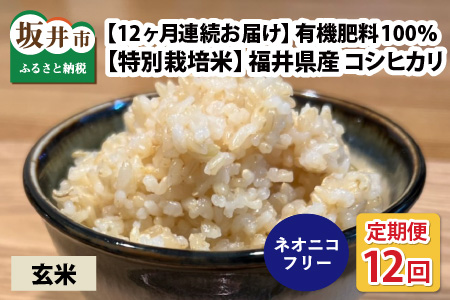 【先行予約】【令和8年産・新米】【12ヶ月連続お届け】【特別栽培米】福井県産 コシヒカリ 5kg ～化学肥料にたよらない有機肥料100%～ ネオニコフリー（玄米）【2026年10月以降順次発送予定】 【 玄米 お米 ごはん ブランド米 こしひかり 5キロ 産地直送 定期便 お楽しみ ふるさと納税米 】 [N-13401_02]