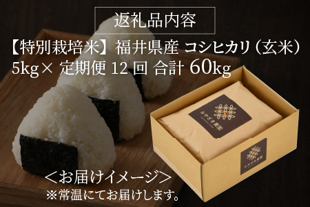 【先行予約】【令和8年産・新米】【12ヶ月連続お届け】【特別栽培米】福井県産 コシヒカリ 5kg ～化学肥料にたよらない有機肥料100%～ ネオニコフリー（玄米）【2026年10月以降順次発送予定】 【 玄米 お米 ごはん ブランド米 こしひかり 5キロ 産地直送 定期便 お楽しみ ふるさと納税米 】 [N-13401_02]