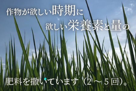 【先行予約】【令和6年産・新米】【12ヶ月連続お届け】【特別栽培米】福井県産 ミルキークイーン5㎏X12回 計60kg～化学肥料にたよらない有機肥料100%～ ネオニコフリー（白米）【2024年10月上旬以降発送予定】 [J-13402_01]