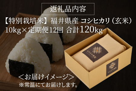 【先行予約】【令和8年産・新米】【12ヶ月連続お届け】【特別栽培米】福井県産 コシヒカリ 10kg ～化学肥料にたよらない有機肥料100%～ ネオニコフリー（玄米）【2026年10月以降順次発送予定】 【 玄米 お米 ごはん ブランド米 こしひかり 10キロ 産地直送 定期便 お楽しみ ふるさと納税米 】 [P-13401_02]