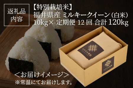 【先行予約】 【令和7年産・新米】 【12ケ月連続お届け】【特別栽培米】福井県産 ミルキークイーン10kg×12回 計120kg ～化学肥料にたよらない100%の有機肥料～ ネオニコフリー（白米） 【2025年10月上旬以降順次発送予定】 【 白米 お米 ごはん 10キロ 産地直送 定期便 お楽しみ ふるさと納税米 】 [O-13402_01]