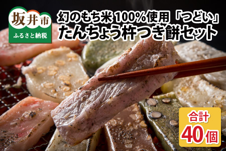 【先行予約】 たんちょう杵つき餅セット 『つどい』 計40個 ～幻のもち米100％使用～ 【2024年11月下旬以降順次発送予定】 【つきたて モチモチ 添加物・保存料不使用 焼いてそのままでも おやつに 餅 もち おもち お餅 丸もち 福井 坂井市】 [A-2961]