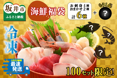 【先行予約】【年末特別企画】【12月31日24時迄受付】『海鮮福袋』100セット限定！　お刺身6種セット+もう1品！（4種＋おまかせ2種+もう1品！）【2023年1月6日より順次発送予定】【B-7005】
