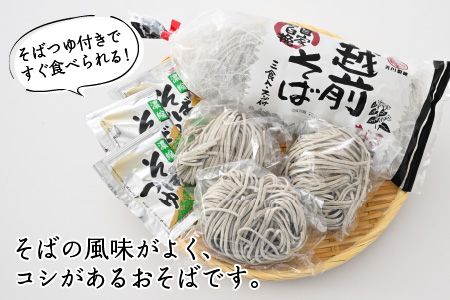 自家石臼挽 越前そば 生そば・だしつゆ付 3食×2セット [A-12625