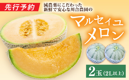 【先行予約】マルセイユメロン 2玉 (2L以上のサイズ) 糖度15度以上 減農薬にこだわった新鮮で安心な川合農園のメロン 【2026年6月中旬以降発送予定】【メロン めろん フルーツ 旬 デザート 果物 くだもの 果実 赤肉 糖度 甘い 国産】 [A-7505]
