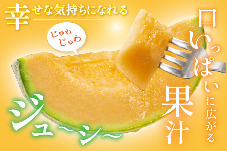 【先行予約】マルセイユメロン 2玉 (2L以上のサイズ) 糖度15度以上 減農薬にこだわった新鮮で安心な川合農園のメロン 【2026年6月中旬以降発送予定】【メロン めろん フルーツ 旬 デザート 果物 くだもの 果実 赤肉 糖度 甘い 国産】 [A-7505]