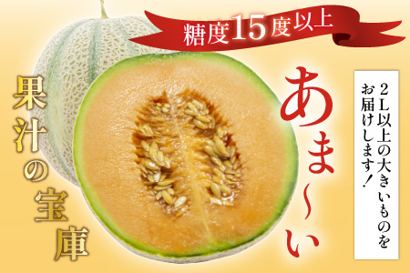 【先行予約】マルセイユメロン 2玉 (2L以上のサイズ) 糖度15度以上 減農薬にこだわった新鮮で安心な川合農園のメロン 【2026年6月中旬以降発送予定】【メロン めろん フルーツ 旬 デザート 果物 くだもの 果実 赤肉 糖度 甘い 国産】 [A-7505]