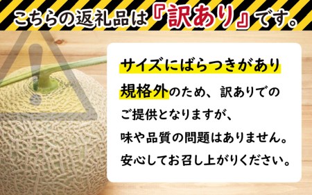 【先行予約】【訳あり】坂井市産 アールスメロン 2玉 【2024年9月上旬以降順次発送予定】[A-3232]