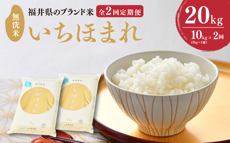 【令和7年産】 定期便 ≪2ヶ月連続お届け≫ 福井県のブランド米 いちほまれ 無洗米 10kg × 2回 計20kg 【 無洗米 人気 品種 ブランド米 特A 】 [H-6101]