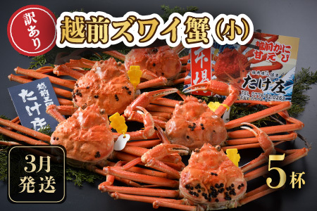 【先行予約】訳あり≪茹で≫越前ズワイ蟹(小) 5杯 【2026年3月発送分】 [J-1605_03]