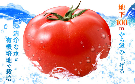 【先行予約】定期便 ≪3ヶ月連続お届け≫ みつぼしトマト☆3ブランド食べ比べ！ 約1kg × 3回 【2026年5月上旬以降順次発送予定】【とまと トマト 野菜 生野菜 新鮮 産地直送 贈答 ギフト 国産】 [A-2609]