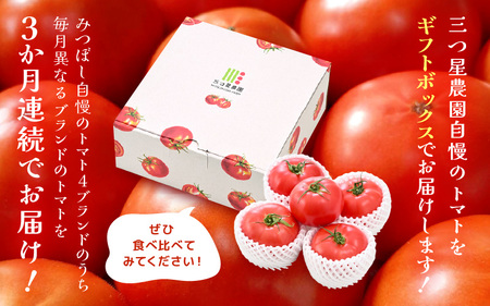 【先行予約】定期便 ≪3ヶ月連続お届け≫ みつぼしトマト☆3ブランド食べ比べ！ 約1kg × 3回 【2026年5月上旬以降順次発送予定】【とまと トマト 野菜 生野菜 新鮮 産地直送 贈答 ギフト 国産】 [A-2609]