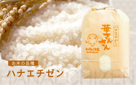 【令和7年産・新米】さんさん池見二代目の 福井県産 ハナエチゼン 10kg （無洗米） [B-0221_05]
