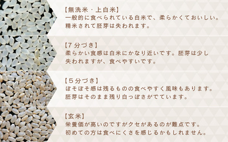 【令和7年産・新米】さんさん池見二代目の 福井県産 ハナエチゼン 10kg （無洗米） [B-0221_05]