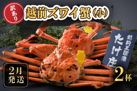 越前蟹 訳あり 茹で 越前ズワイガニ (小) 2杯【2月発送分】冷蔵 [D-1601_02]