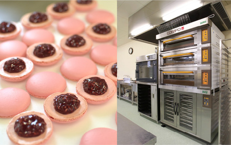 【お礼の品なし】大学等支援事業補助金（天谷調理製菓専門学校）【寄付金額 500,000円】[O-037006]