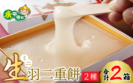生羽二重餅 2種セット（しろ・京きなこ入り）[A-011005]  羽二重餅 はぶたえもち 福井名物 スイーツ 羽二重餅セット 羽二重餅詰合せ 餅 もち 福井 永平寺 マエダセイカ 食べにくい羽二重餅 へんな羽二重餅   あさいち