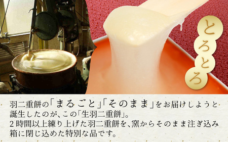 生羽二重餅 2種セット（しろ・京きなこ入り）[A-011005]  羽二重餅 はぶたえもち 福井名物 スイーツ 羽二重餅セット 羽二重餅詰合せ 餅 もち 福井 永平寺 マエダセイカ 食べにくい羽二重餅 へんな羽二重餅   あさいち