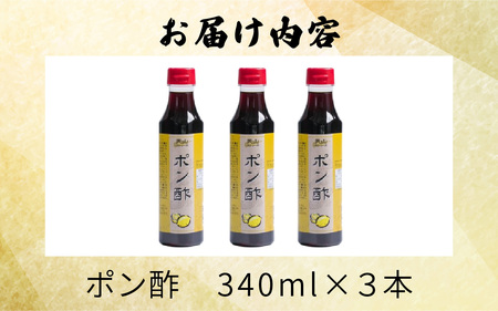 天山味シリーズ ポン酢３本 ご当地 土産 福井 永平寺町 詰め合わせ　[A-065001] ぽん酢 キッチン天山