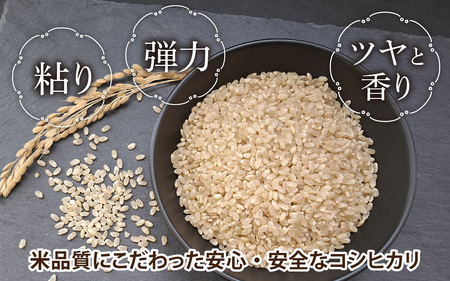 永平寺町飯島産 コシヒカリ 【玄米】10kg 