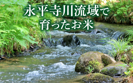 永平寺町飯島産 コシヒカリ 【玄米】10kg 