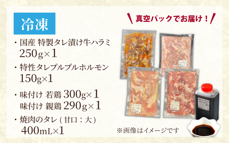 焼肉 BBQ セット  牛ハラミ ホルモン 若鳥 親鳥 [C-019003]　