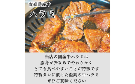 国産 特製タレ漬け牛ハラミ 250gx2パック (計500ｇ)[B-019007]