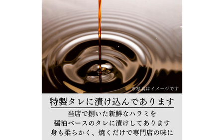 国産 特製タレ漬け牛ハラミ 250gx2パック (計500ｇ)[B-019007]