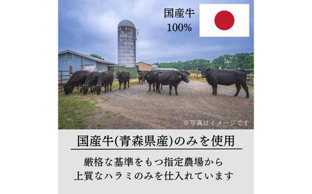 国産 特製タレ漬け牛ハラミ 250gx2パック (計500ｇ)[B-019007]