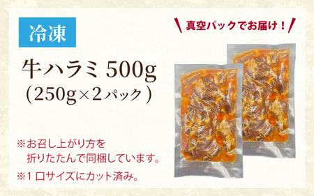国産 特製タレ漬け牛ハラミ 250gx2パック (計500ｇ)[B-019007]