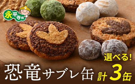恐竜サブレ缶(大)2種類各1個+(小)4種類から選べる1個　 計3缶 恐竜 サブレ お菓子 クッキー 米粉 おかし 洋菓子 詰め合わせ デザート 人気 おすすめ 永平寺 福井 福井県 坐禅 恐竜 北陸 [C-026005]
