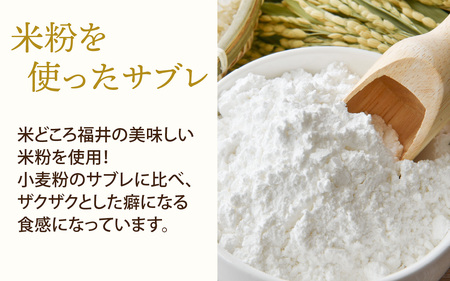 恐竜サブレ缶(大)2種類各1個+(小)4種類から選べる1個　 計3缶 恐竜 サブレ お菓子 クッキー 米粉 おかし 洋菓子 詰め合わせ デザート 人気 おすすめ 永平寺 福井 福井県 坐禅 恐竜 北陸 [C-026005]