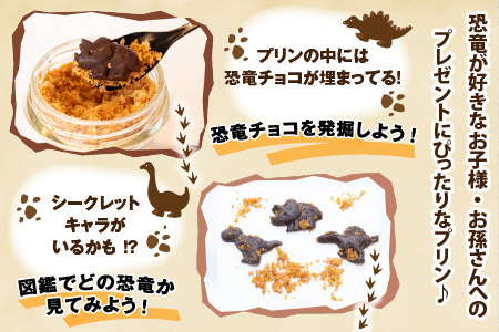 【12/23入金分まで年内発送 年内配送】恐竜発掘プリン３個