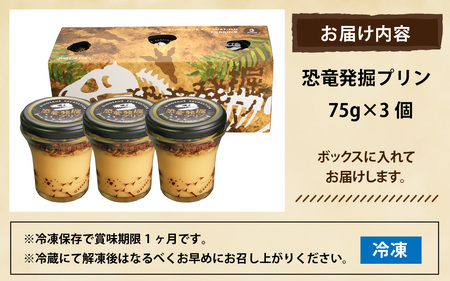 【12/23入金分まで年内発送 年内配送】恐竜発掘プリン３個