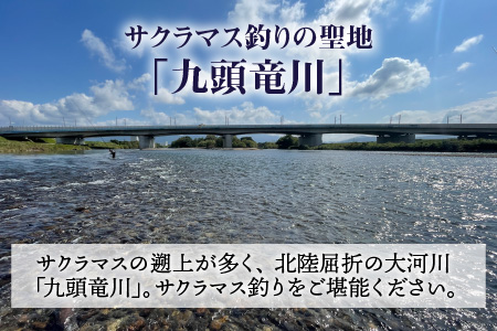 九頭竜川 やまめ（サクラマス）年間遊漁券（2025年） [C-001002]