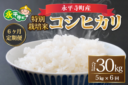 ☆減農薬コシヒカリ☆ 白米30キロ 令和5年度産新米