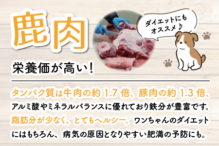 無添加 100％永平寺産ジビエ 愛犬用鹿肉おやつセット 4袋（約150g）[B-036001]