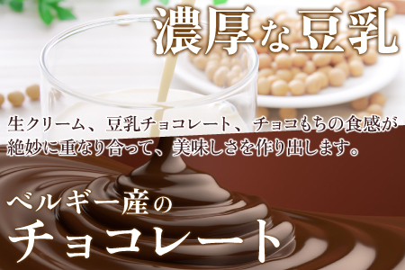 お豆腐屋さんが作る 豆乳チョコもち 5粒×2箱 [A-013004]