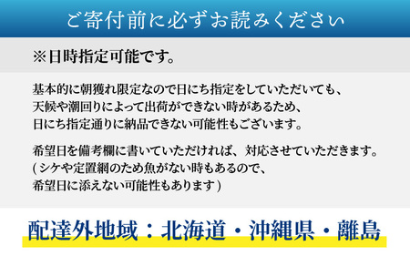 【先行予約】【朝獲り】漁師厳選 鮮魚セット (中) 4種類以上 約3kg【2026年4月以降発送開始】 [D-018001]  食卓 産地直送