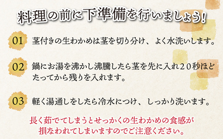 【先行予約】生わかめ 1.0kg※2026年4月上旬ごろ順次発送｜北陸 厳選 わかめ [A-018001]