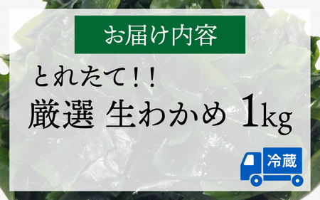【先行予約】生わかめ 1.0kg※2026年4月上旬ごろ順次発送｜北陸 厳選 わかめ [A-018001]