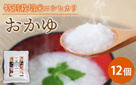 南条産コシヒカリで作ったおかゆ 12個　備蓄 非常食