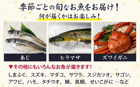 【先行予約】【日本海鮮魚】漁師厳選鮮魚真空冷凍セット　約2g～2.5kg(4種以上) 【2026年4月以降発送再開】 |   日本海 旬