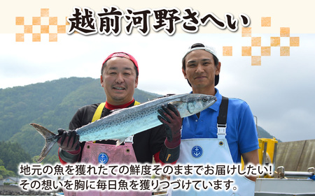 【先行予約】【日本海鮮魚】漁師厳選鮮魚真空冷凍セット　約2g～2.5kg(4種以上) 【2026年4月以降発送再開】 |   日本海 旬