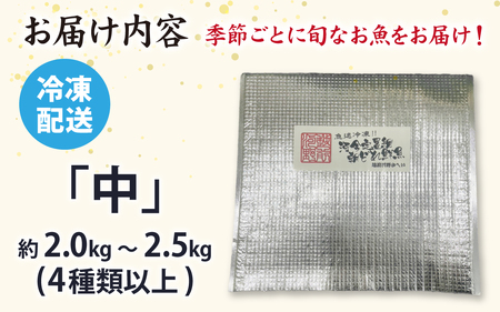 【先行予約】【日本海鮮魚】漁師厳選鮮魚真空冷凍セット　約2g～2.5kg(4種以上) 【2026年4月以降発送再開】 |   日本海 旬