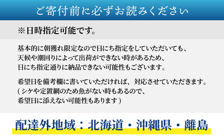 【定期便　隔月３回】【朝獲り】漁師厳選 鮮魚セット (中) 4種類以上 約3kg  |  急速冷凍 詰め合わせ