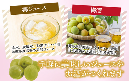江戸時代から続く伝統の味「紅梅液」 550ml×2本 [B-005013]　昔ながらの 老舗