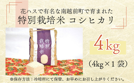 令和7年度産 新米 特別栽培米 コシヒカリ 4kg 福井県 南越前町 オーガニック ブランド米